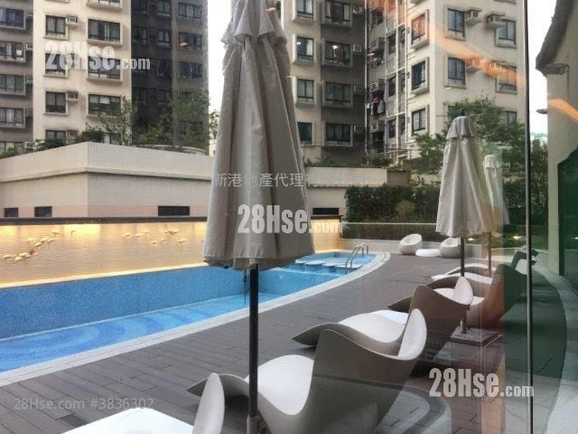 Upper East Rental Studio , 1 Bathroom 228 ft²