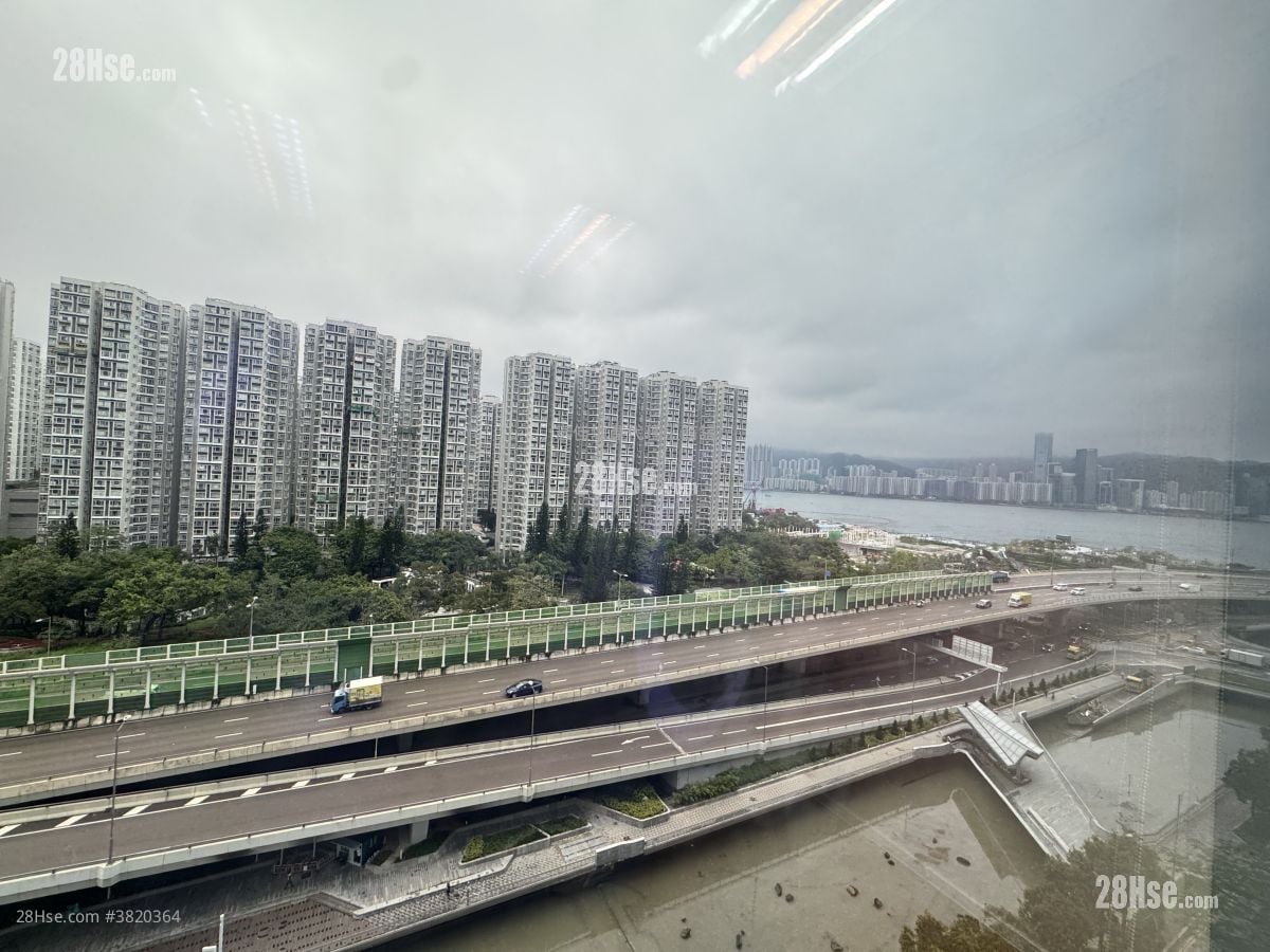 King Palace Plaza Rental