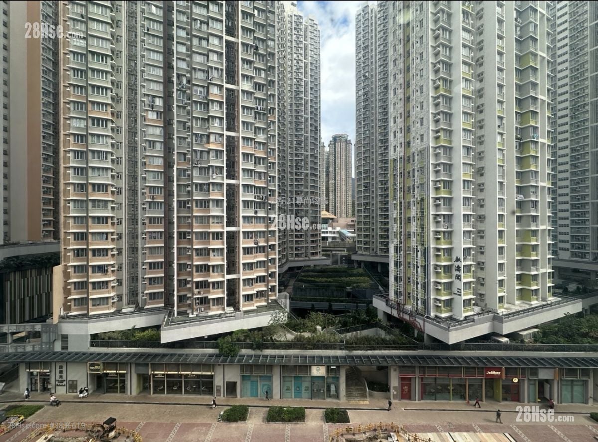Wah Mow Factory Building Rental