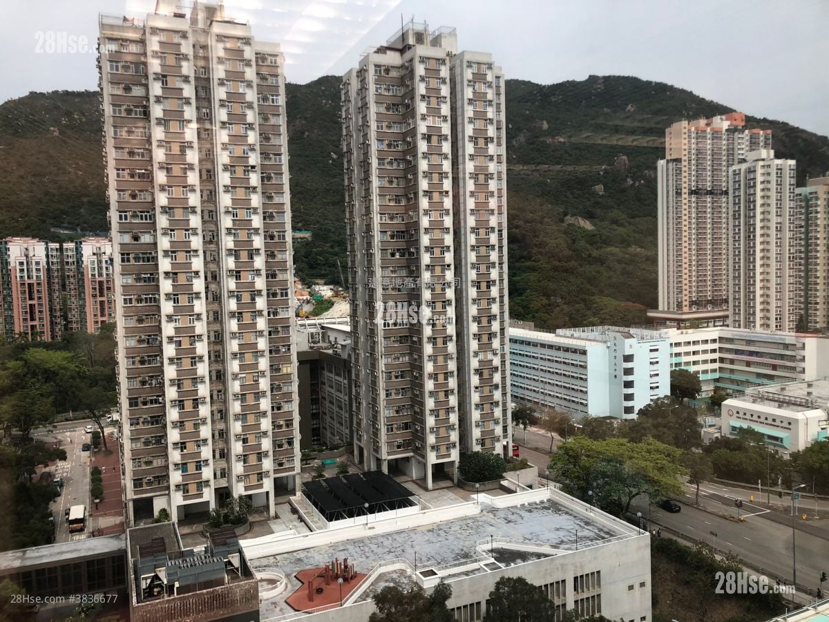 屯門栢麗廣場 租盤
