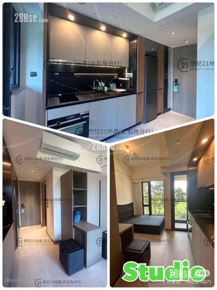 Silicon Hill Rental 1 Bathroom 580 ft²