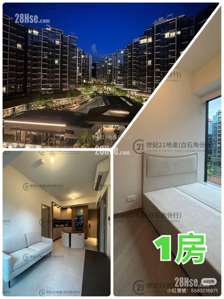 Silicon Hill Rental 1 Bathroom 580 ft²
