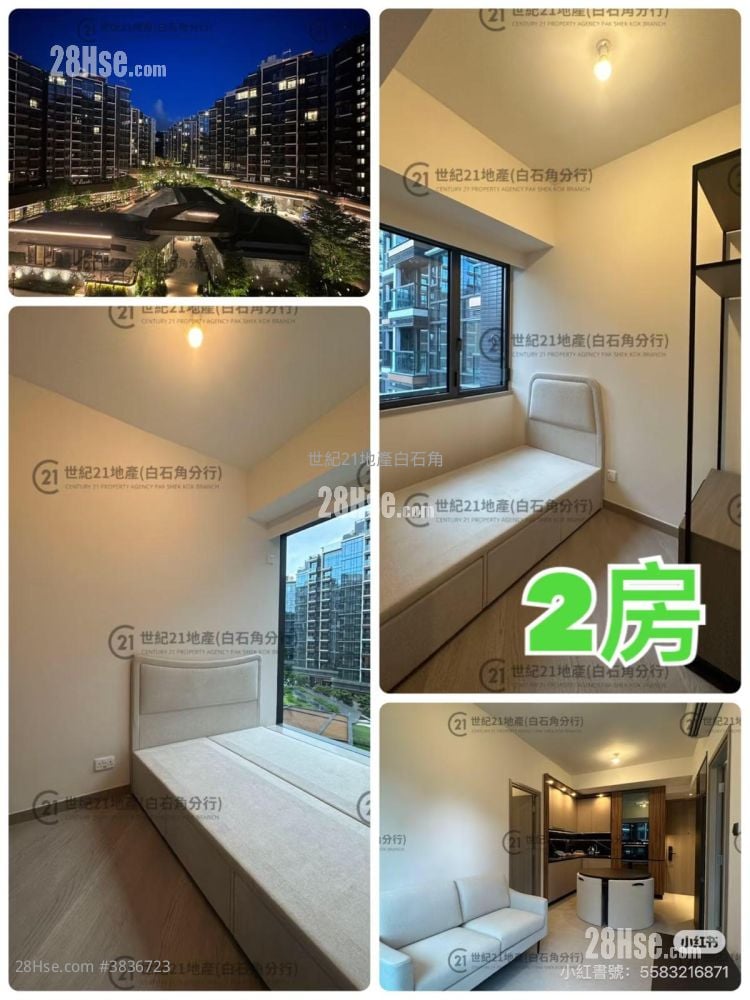 Silicon Hill Rental 1 Bathroom 580 ft²