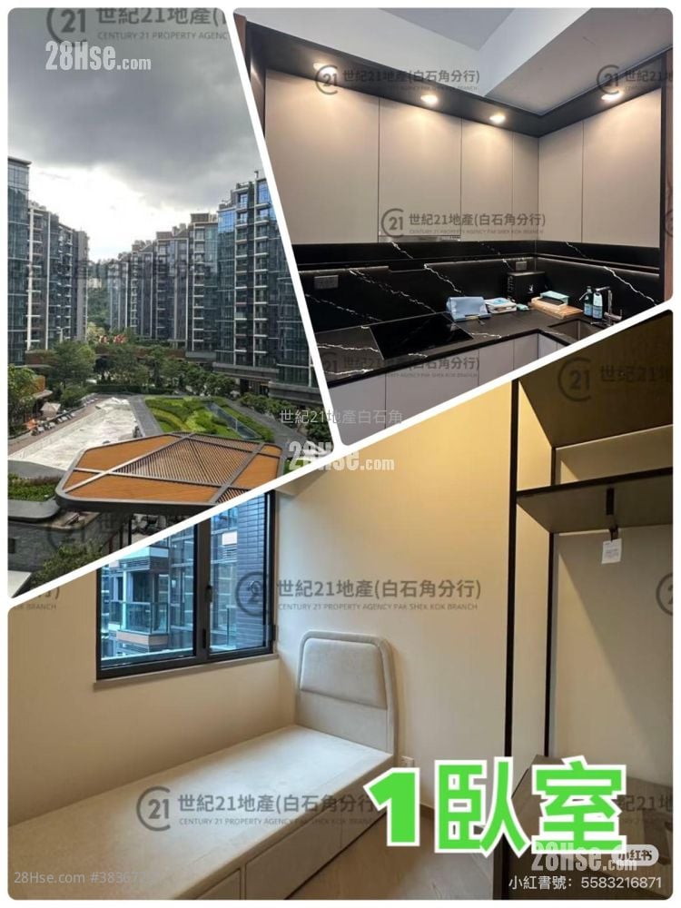Silicon Hill Rental 1 Bathroom 580 ft²
