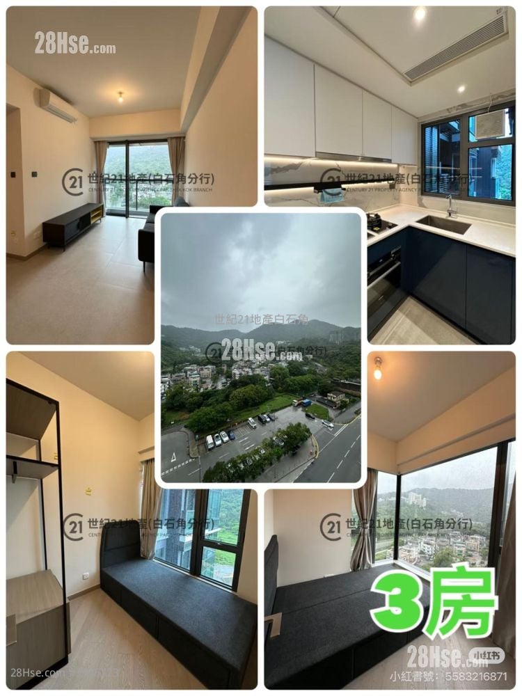 Silicon Hill Rental 1 Bathroom 580 ft²