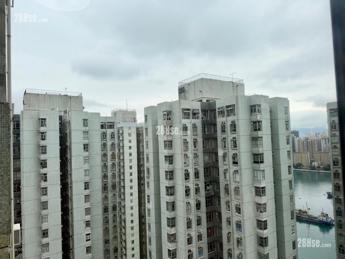 丽城花园 售盘 3 房 , 1 浴室 572 平方尺