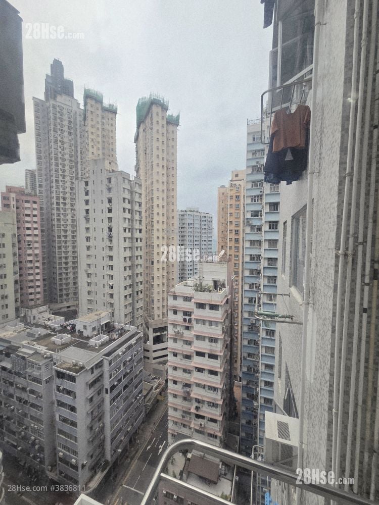 Treasure Court Rental 2 Bedrooms , 1 Bathroom 281 ft²