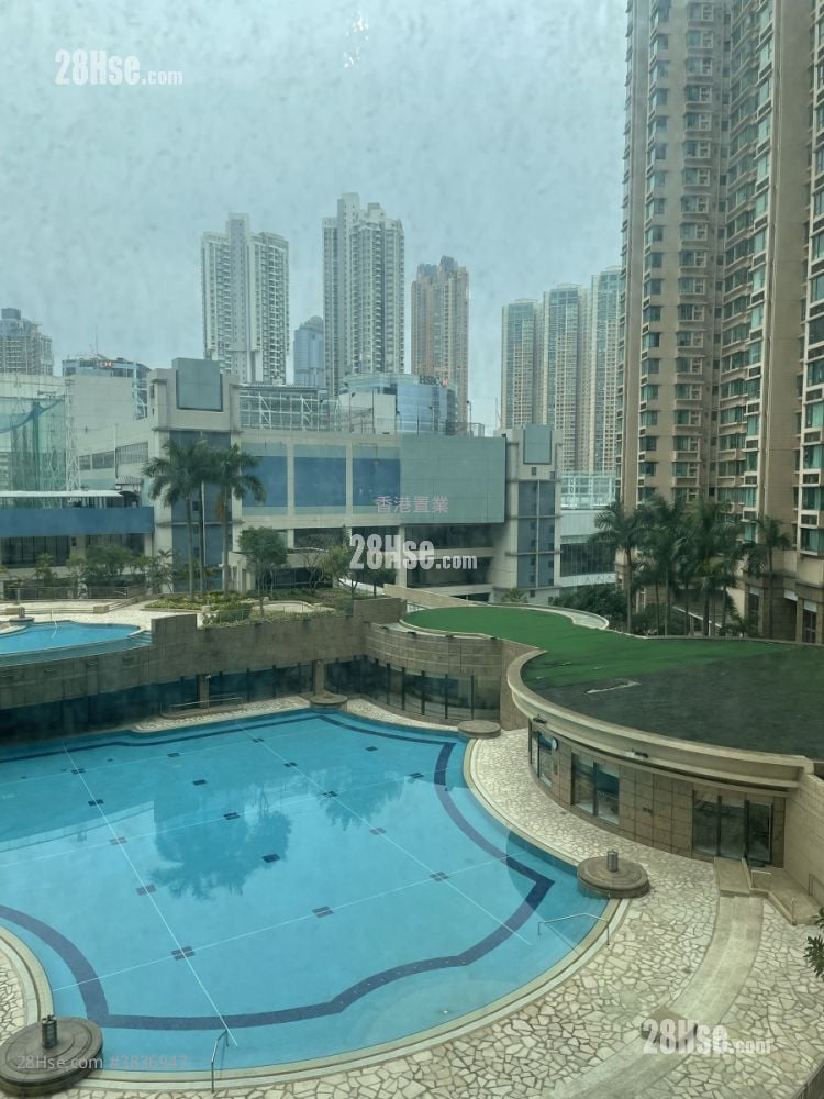 维港湾 租盘 2 房 , 1 浴室 457 平方尺