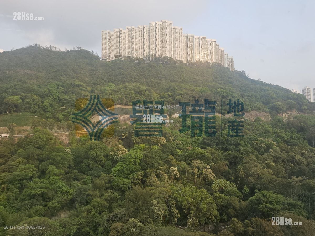 Golden Dragon Industrial Centre Rental