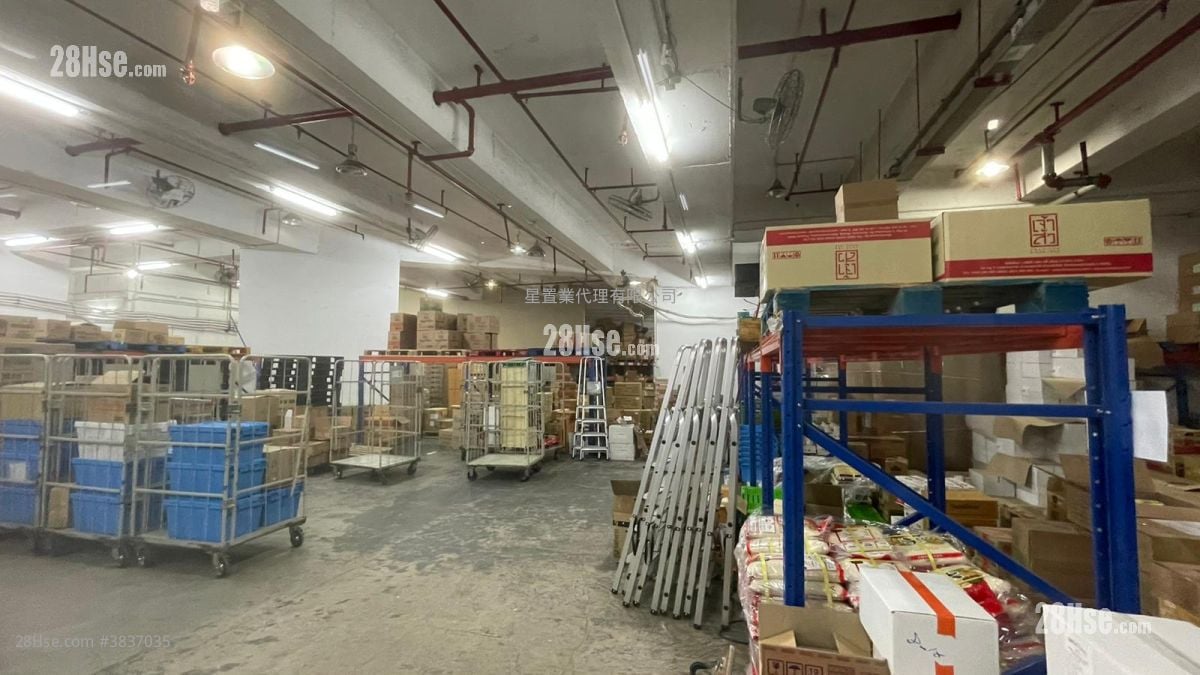 15 Fts High Ceiling Professional Warehouse Rental