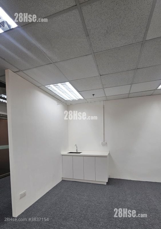 Skyline Tower Rental