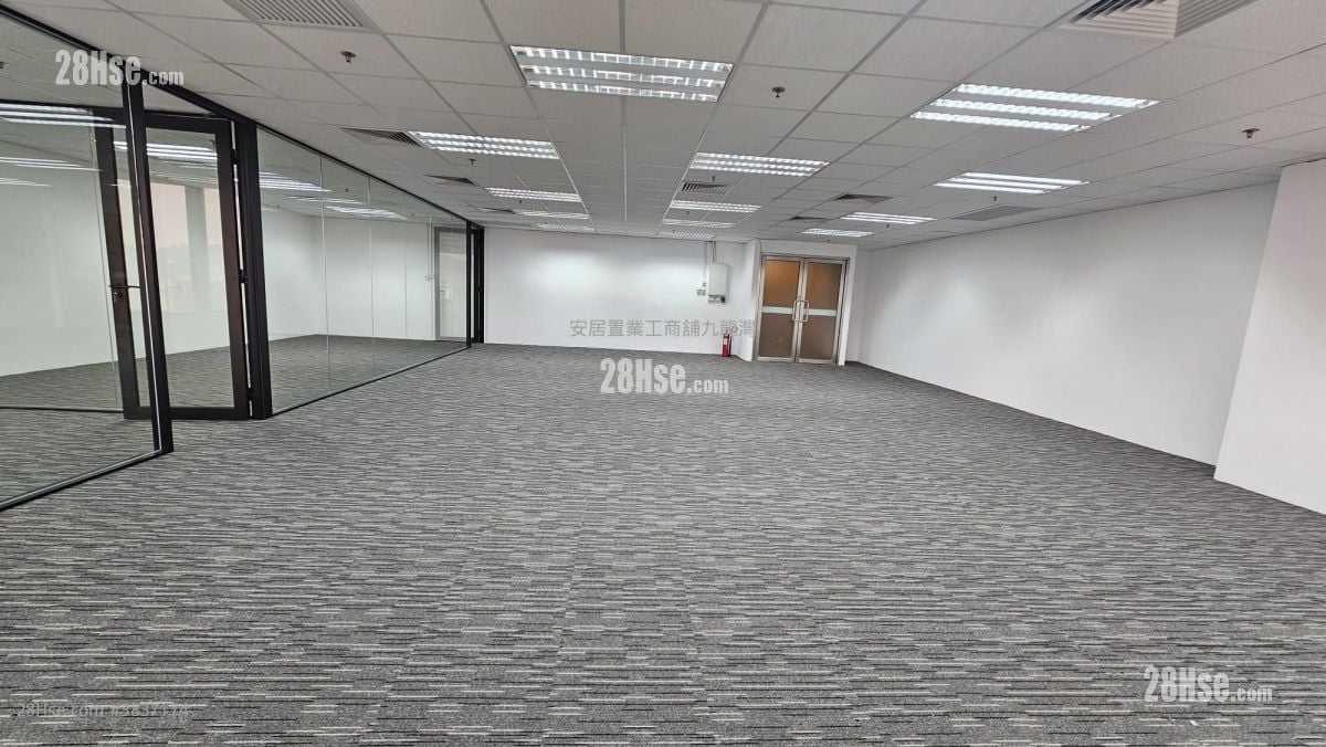Skyline Tower Rental