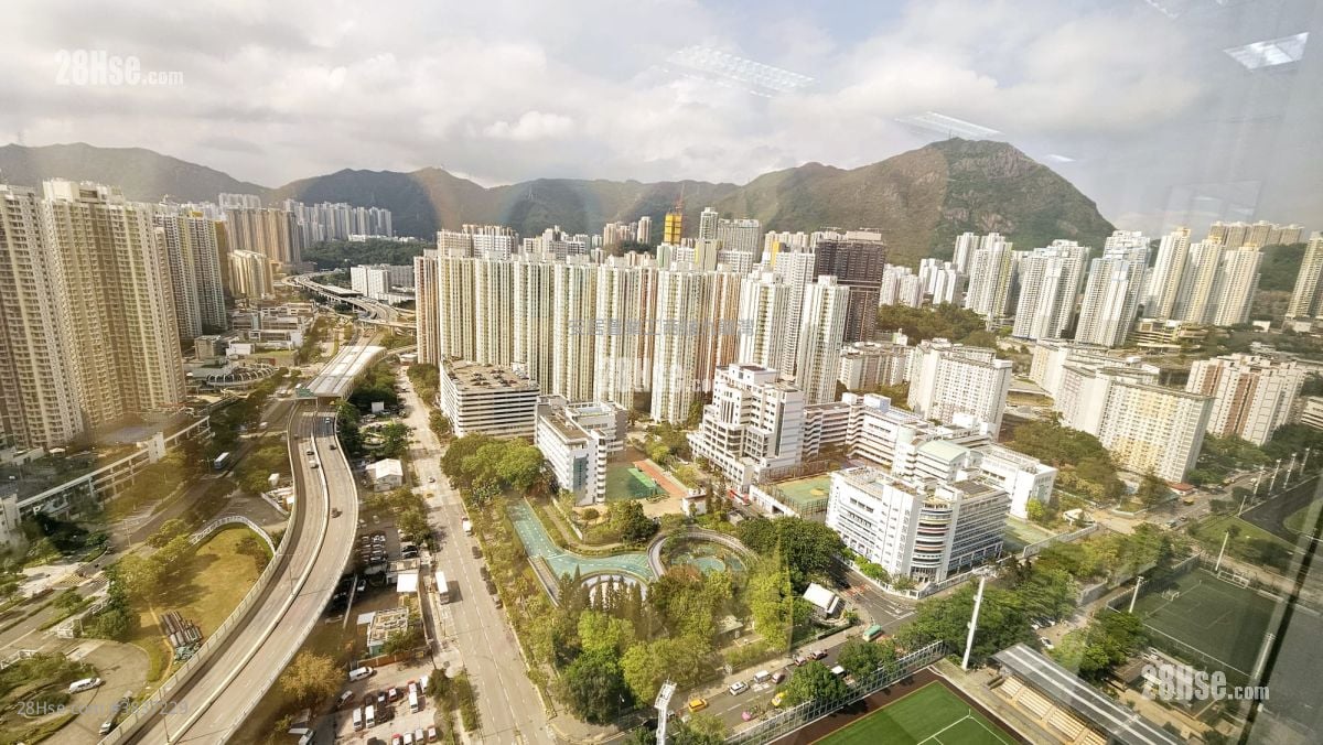 Skyline Tower Rental
