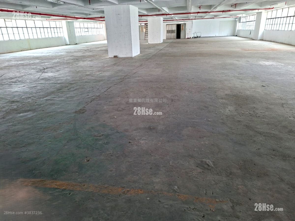 屯門工廈 Rental