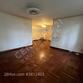 +白居二 +綠表 TERRY 盧 69933070  -新界東奇豐代理 租盤買盤 總有一個啱你！