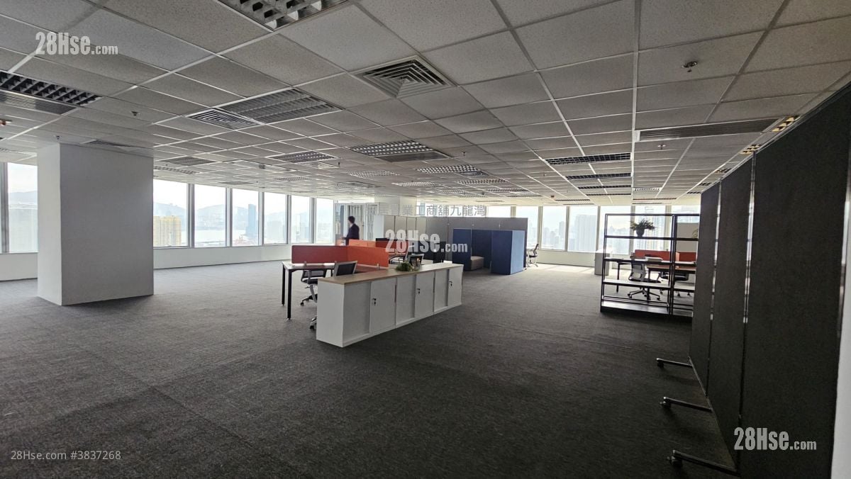 Skyline Tower Rental