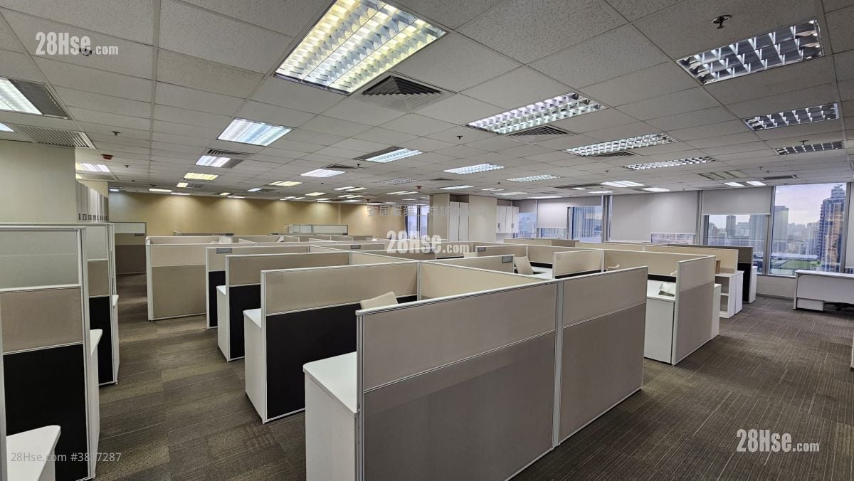 Skyline Tower Rental
