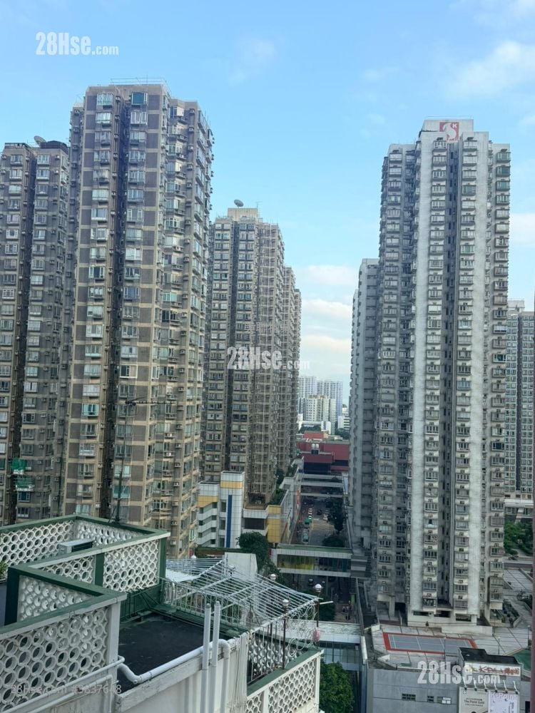 Top Court Rental 3 Bedrooms , 1 Bathroom 502 ft²
