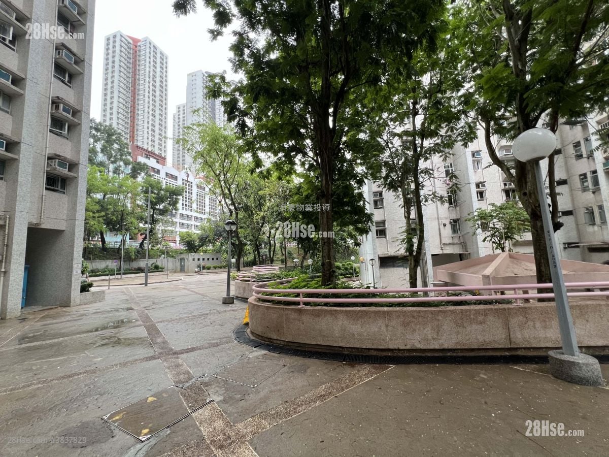 Po Pui Court Sell 3 Bedrooms , 1 Bathroom 645 ft²