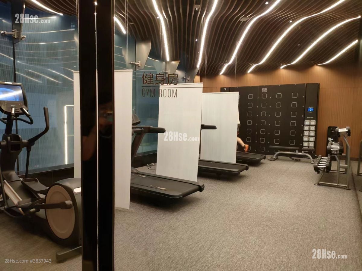 Cetus Square Mile Rental 1 Bedroom , 1 Bathroom 278 ft²
