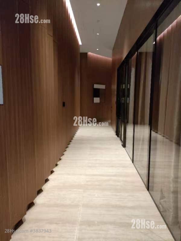 Cetus Square Mile Rental 1 Bedroom , 1 Bathroom 278 ft²
