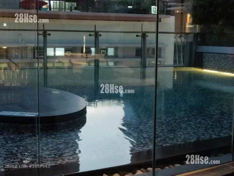 Cetus Square Mile Rental 1 Bedroom , 1 Bathroom 278 ft²