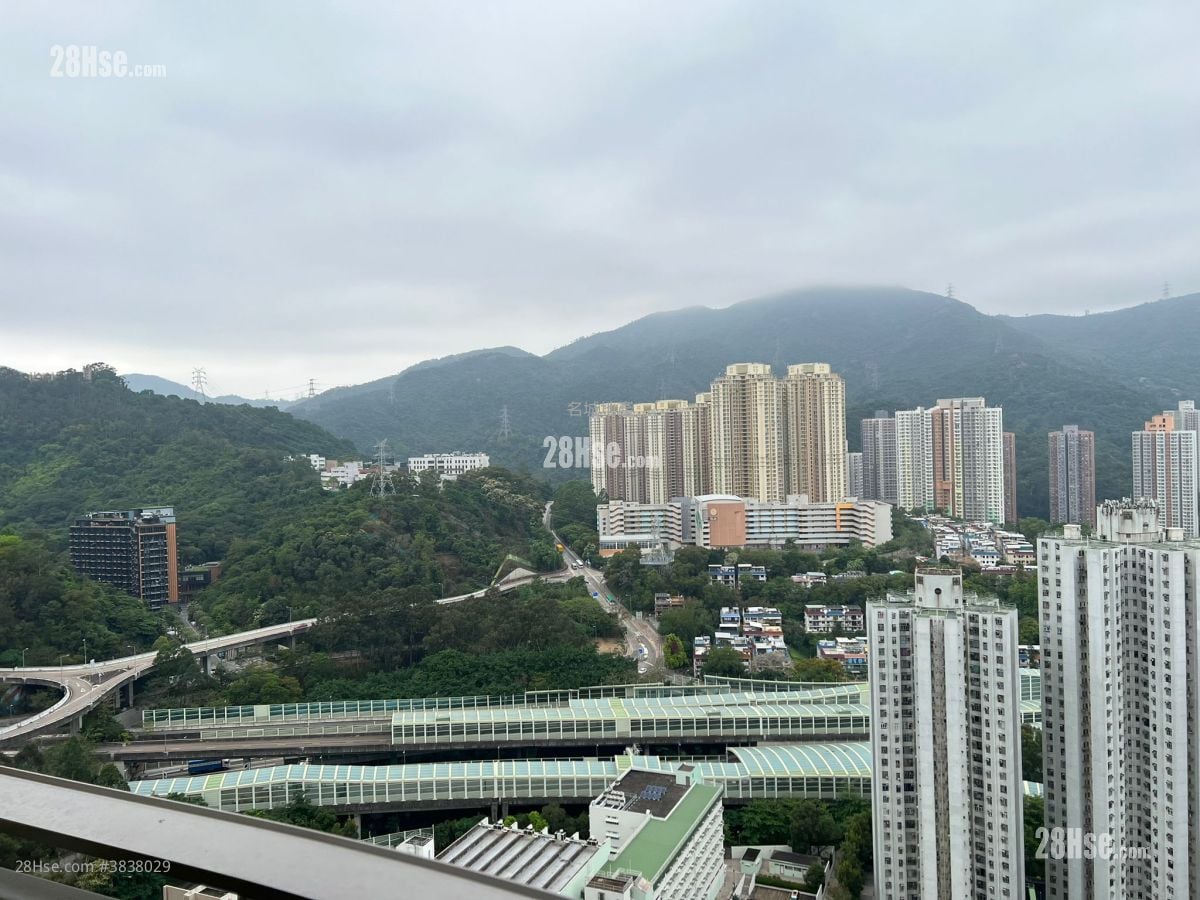 Festival City Rental 3 Bedrooms , 2 Bathrooms 786 ft²