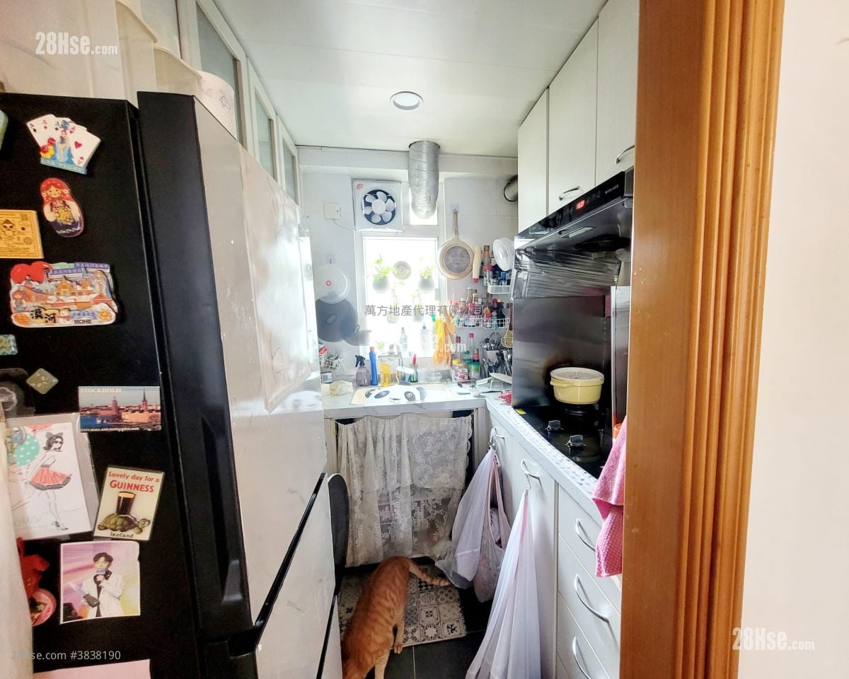 沙田第一城 售盘 3 房 , 1 浴室 484 平方尺