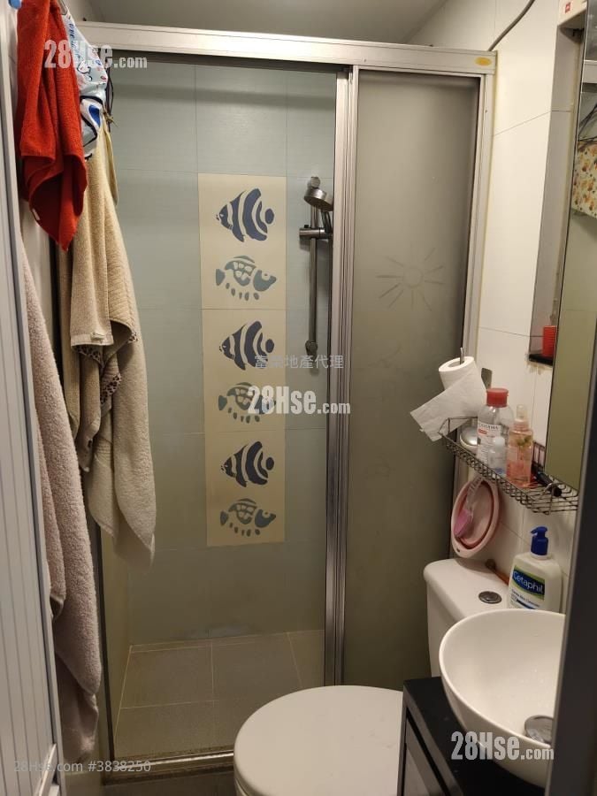 Tai Nan Garden Sell Studio , 1 Bathroom 216 ft²