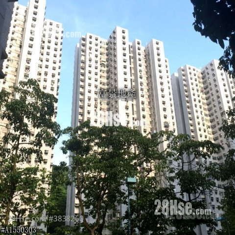 大厦外观: 富景花园 售盘 2 房 484 平方尺