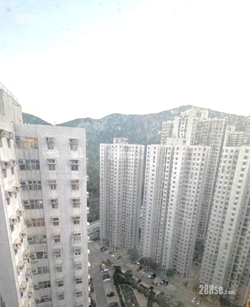 富景花园 售盘 2 房 484 平方尺