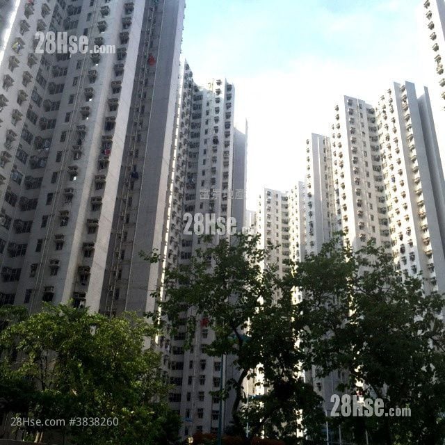 富景花园 售盘 2 房 484 平方尺