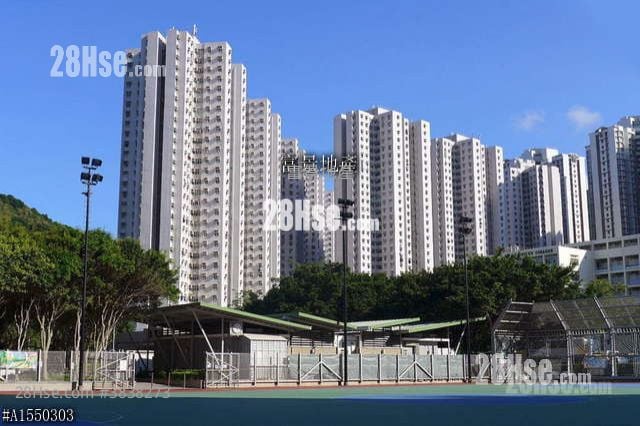 大厦外观: 富景花园 售盘 3 房 592 平方尺