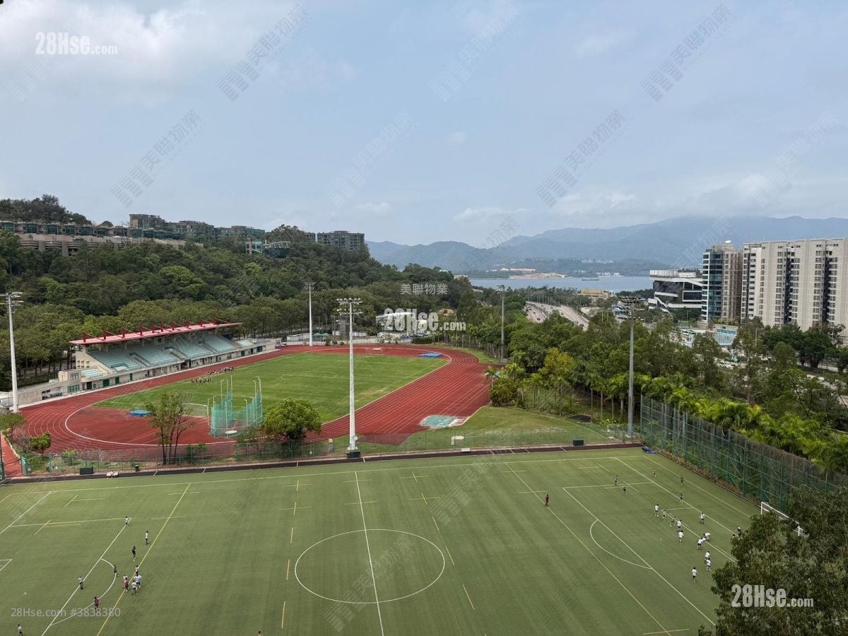 Silicon Hill 租盘 开放式间隔 , 1 浴室 217 平方尺
