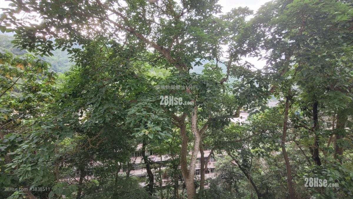 南丰新邨 售盘 2 房 , 1 浴室 391 平方尺