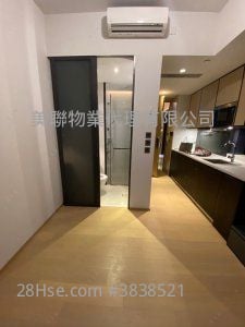 利奧坊曉岸 售盤 開放式間隔 203 平方呎