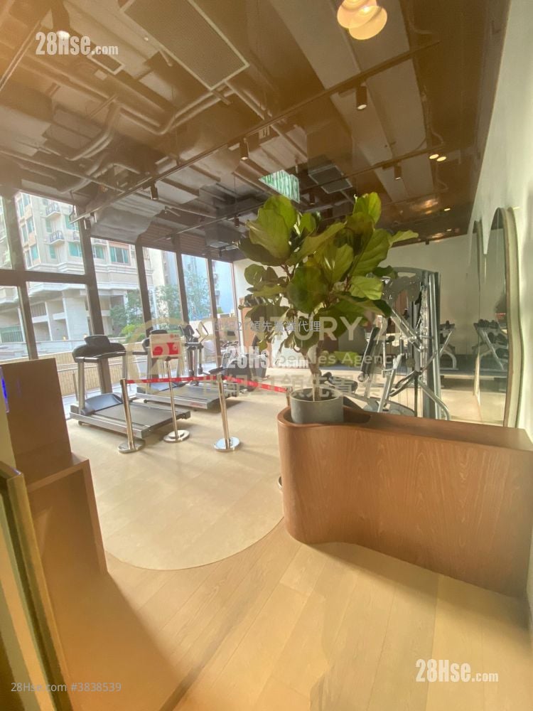 Mangrove Sell Studio , 1 Bathroom 186 ft²