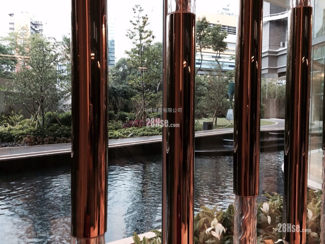 Grand Austin 租盘 1 房 , 1 浴室 540 平方尺