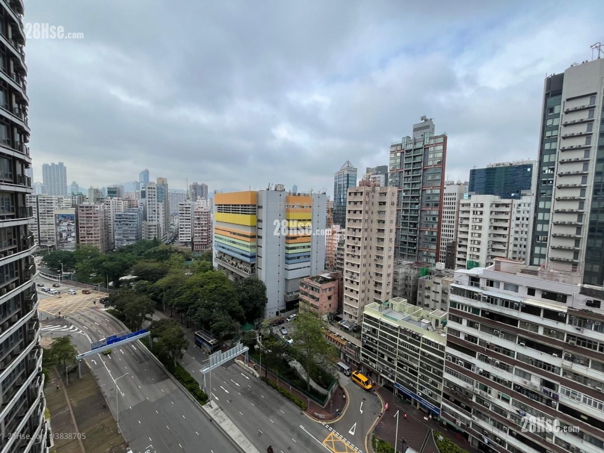 Grand Austin 租盘 1 房 , 1 浴室 540 平方尺