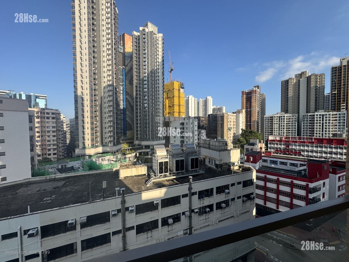 Star Ruby Sell 1 Bedroom , 1 Bathroom 410 ft²
