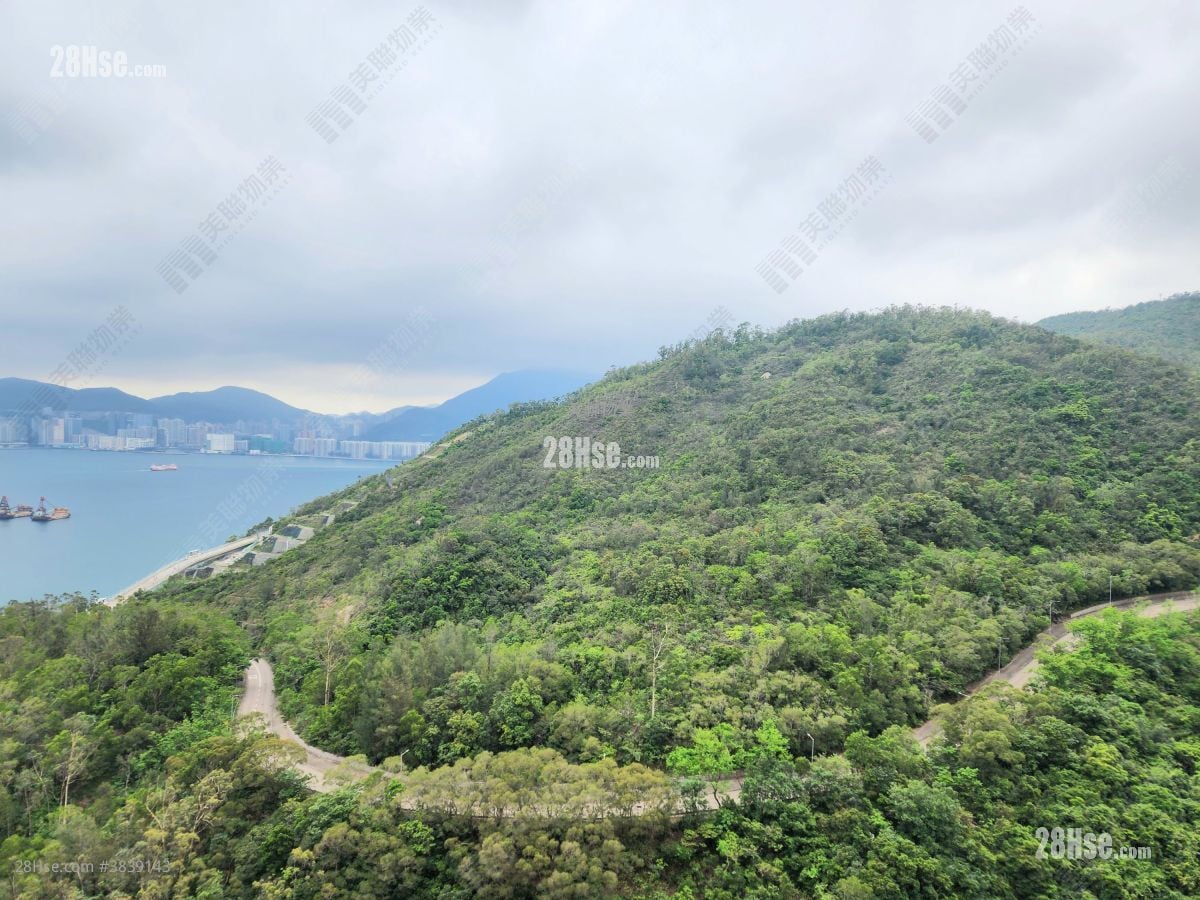 维景湾畔 租盘 2 房 , 1 浴室 515 平方尺