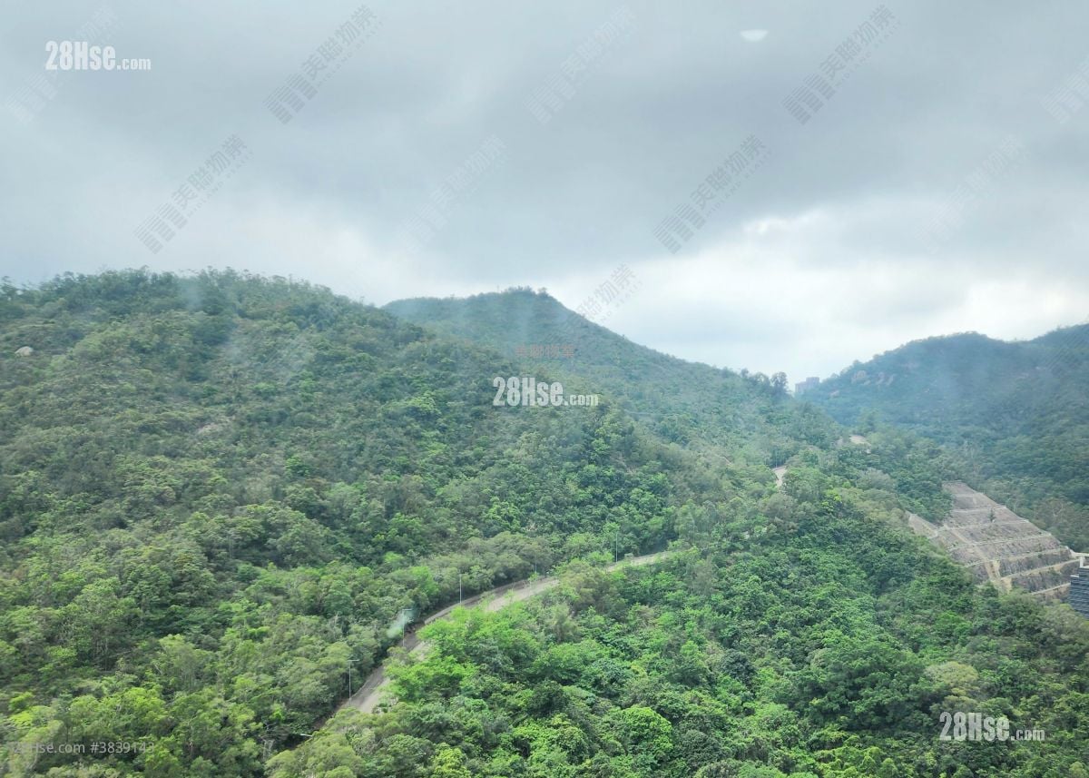 维景湾畔 租盘 2 房 , 1 浴室 515 平方尺