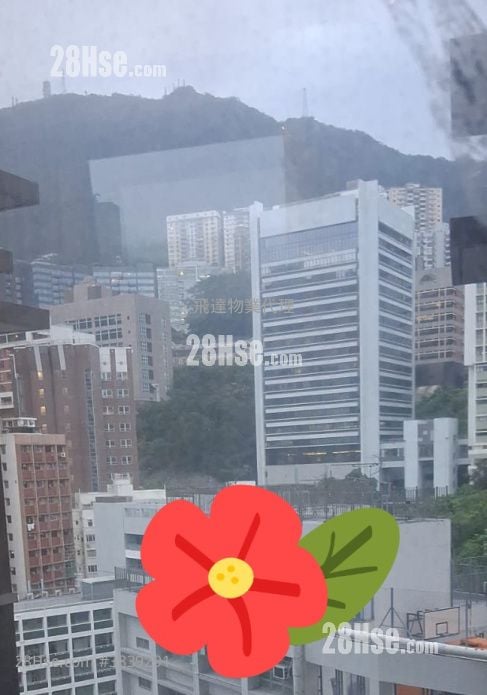 薄扶林道63號 租盤 開放式間隔 , 1 浴室 275 平方呎