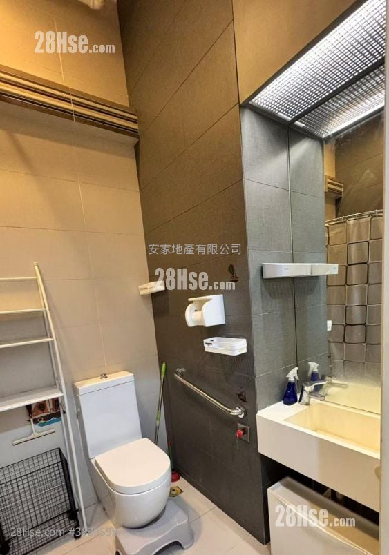 Solo Rental 1 Toilet