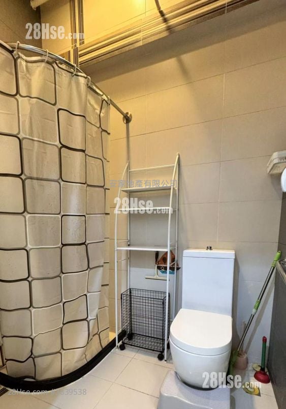 Solo Rental 1 Toilet