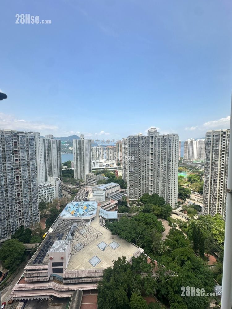 Hang On House Sell 2 Bedrooms , 1 Bathroom 485 ft²