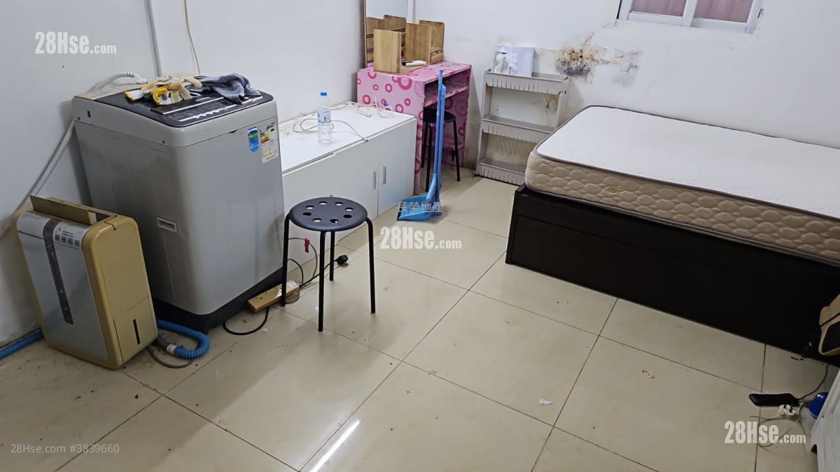 Village Rental 180 ft²
