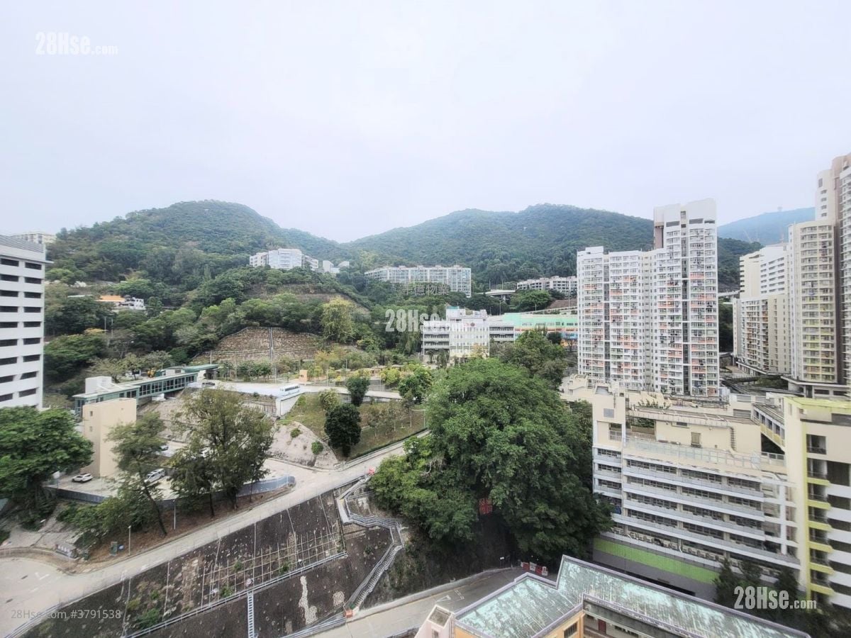 永寧大廈(順寧道) 售盤 1 房 224 平方呎