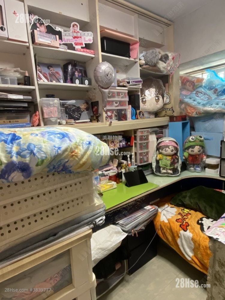 粉岭中心 售盘 3 房 513 平方尺