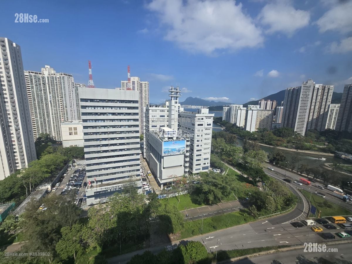 大埔中心 售盘 1 房 407 平方尺